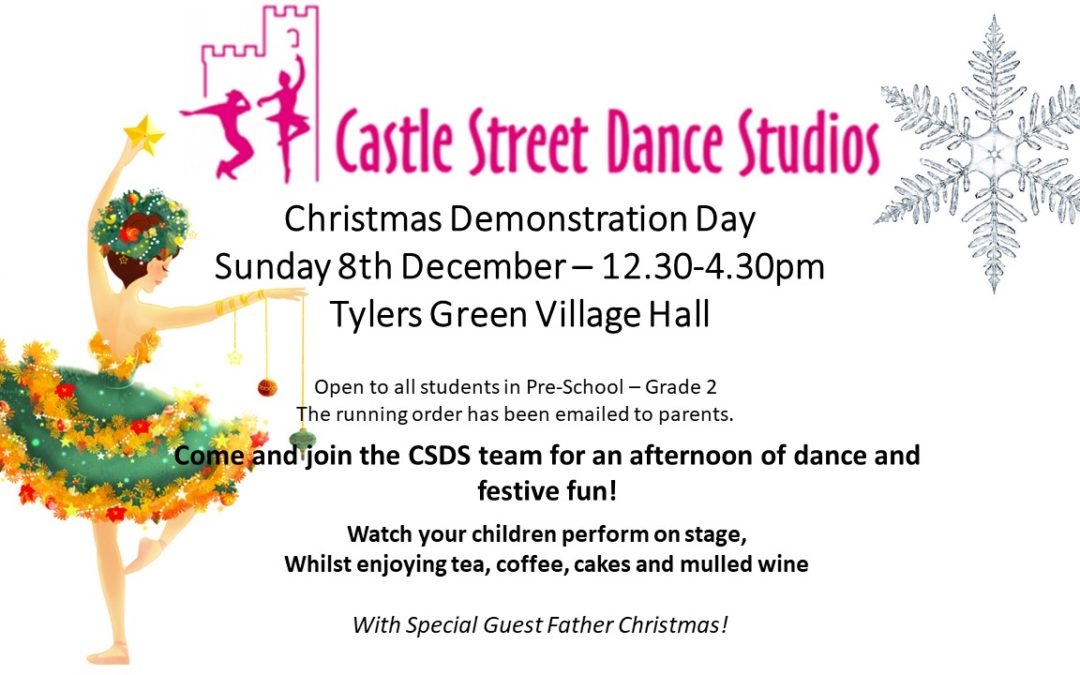Christmas Demonstration Day 2019
